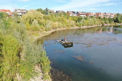 Mäharbeiten auf dem Greisbachsee in Monheim mit dem Truxor